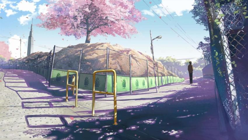 Cherry Blossom Street Anime Wallpaper