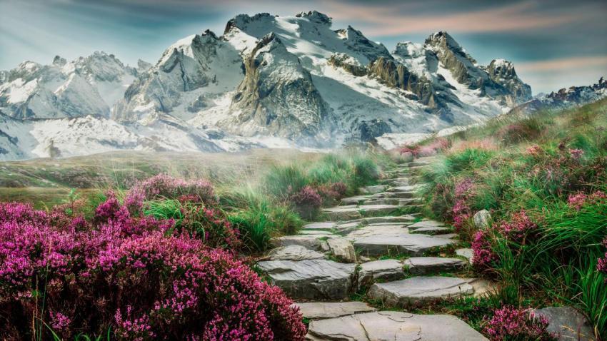 Mountain Path with Pink Flowers 4K Wallpaper