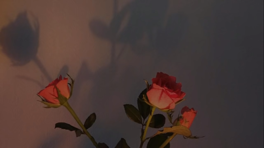 Retro Romantic Roses PC Wallpaper